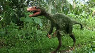 CERTAINLY WOULDN'T WANT TO HAVE
THAT GUY ATTACKING ME - Dino Hunters