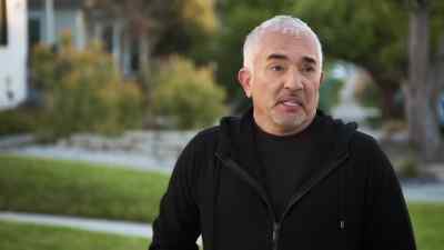 CESAR: My goodness, Bruce and Teddy,
they're pent-up. - Cesar Millan: Better Human, Better Dog