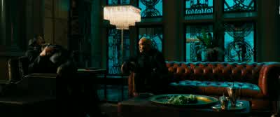 C'est le chien en question? - John Wick: Chapter 3   Parabellum