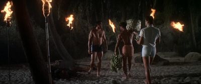 Chad can you go get some firewood for dinner - Blue Hawaii