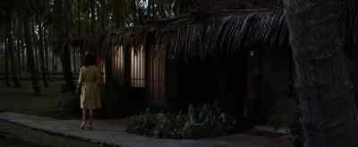 Chad... - Blue Hawaii