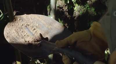 Chad takes it into the light - Lost Gold of World War II