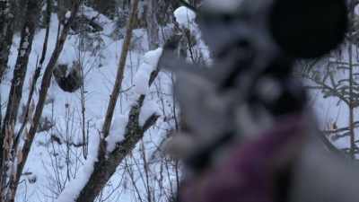 Chances are if I start
stomping around and he's not - Life Below Zero: Next Generation