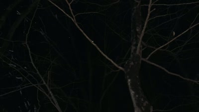 [chanting continues] - Beyond Skinwalker Ranch