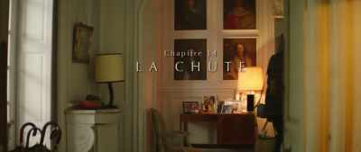 CHAPTER 14 THE FALL - Mr & Mme Adelman
