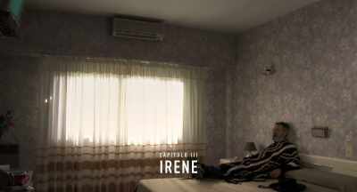 CHAPTER III
IRENE - The Distinguished Citizen