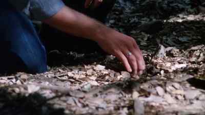 Charlie, come here. - The Forest