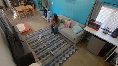 CHARLIE: Dakota, sit. Stay. - Cesar Millan: Better Human, Better Dog