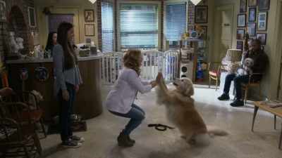 Charlie, high ten. Good girl. - Fuller House