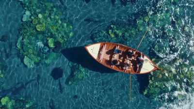 [CHARLIE SIGHS] - The Curious Case of Dolphin Bay