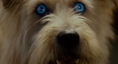 Charlie, who's Franco Marconi? - Forgetting Sarah Marshall