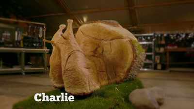 Charlie's carved
a huge snail from oak - Handmade: Britain's Best Woodworker