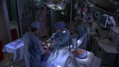 Chase: Intramedullary nail. - House
