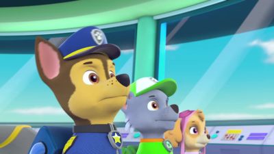Chase is on the case - PAW Patrol