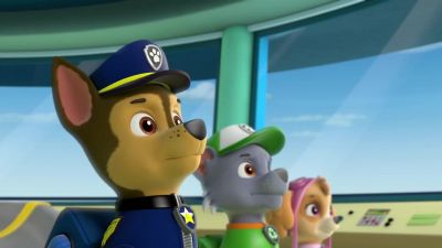 Chase is on the case - PAW Patrol