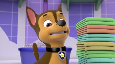 Chase is on the case sir - PAW Patrol