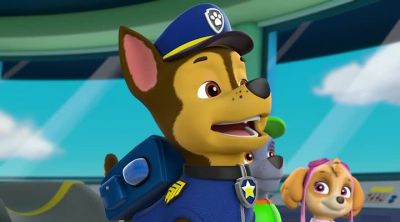 Chase and pups are on the case - PAW Patrol