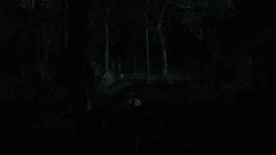 [chatter continues indistinctly] - On Becoming a God in Central Florida