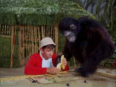[CHATTERING] - Gilligan's Island