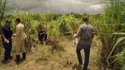 [ Chattering ]
Yes, ma'am.
Yes, ma'am, that's right. - The Glades