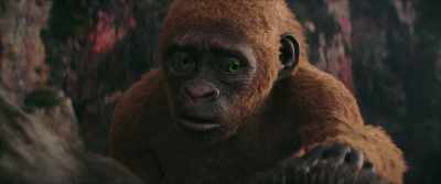 [chatters softly] - Godzilla x Kong: The New Empire
