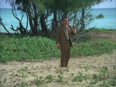 CHE? ANYTHING? - Hawaii Five-0