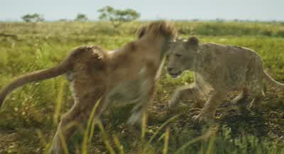 - Cheater! - Mufasa: The Lion King