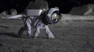 Check it I'm doing the moonwalk - Space Buddies