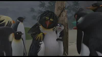 Check it out! - Surf's Up