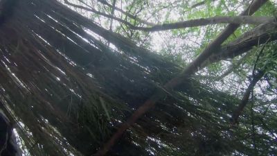 Check out this roof. - Naked and Afraid