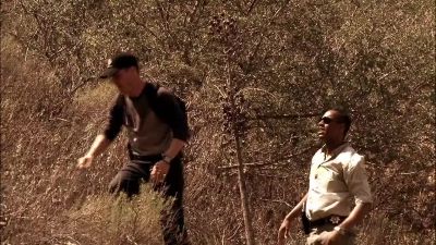 Check it out. - CSI: Crime Scene Investigation