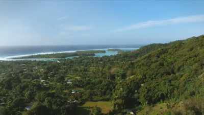 # Check it out. # - FBOY Island NZ