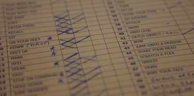 Checklists, there's schedules - Koko: A Red Dog Story