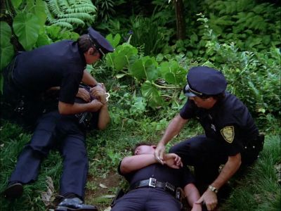 Checkpoint Abel. - Hawaii Five-O