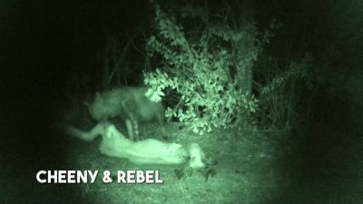        [cheeny] it's dark. - Naked and Afraid