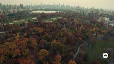 [cheerful music] - Autumn in the City