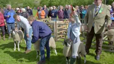 CHEERING - Our Yorkshire Farm