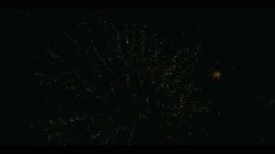 -(CHEERS AND APPLAUSE)
-(FIREWORKS BOOM) - I'll Be Gone in the Dark