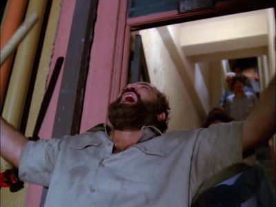 [ CHEERS AND APPLAUSE ] - Hawaii Five-O