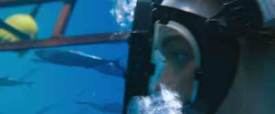 Cheese! Hi! Hi. - 47 Meters Down