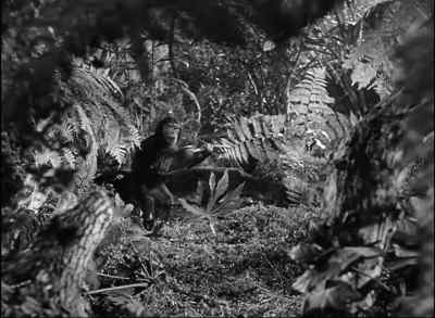 Cheeta, give back to Benji. - Tarzan and the Mermaids