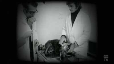 Cheetah looks pretty much the same - Aussie Inventions That Changed The World