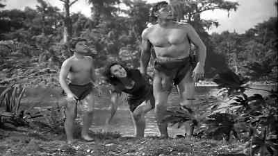 Cheetah must be seeing things - Tarzan's New York Adventure