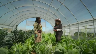 Chef Nick Wallace curates
incredible seasonal menus - Searching for Soul Food