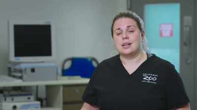 Chelsea:
Oh, it's nerve-racking. (laughs) - Secrets of the Zoo