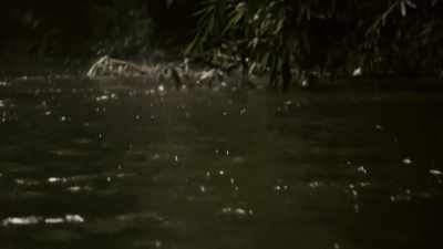 CHEMBOL HAD BEEN ATTACKED
BY SOMETHING IN THE RIVER, - Expedition Mungo