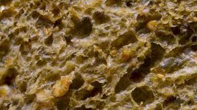 Chemicals that are produced
by fungus, - Fantastic Fungi