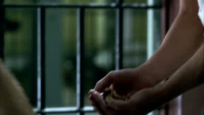 Cherry: It's getting so hot in here. - Prison Break