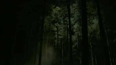 Cheryl Bennet
was able to use her skills - Unidentified: Inside America's UFO Investigation