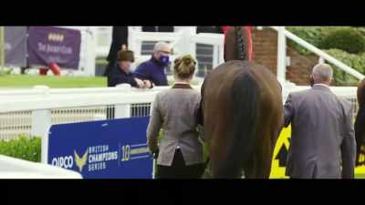 Cheveley Park and Fred
Darling winner, Alcohol Free, - Horsepower